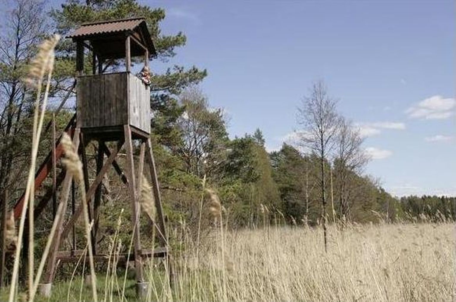 Nõva puhkeala