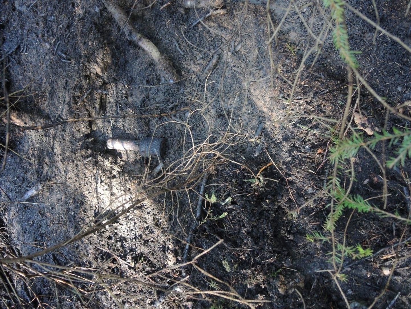 Teisipäeval Kolga-Jaani lähedal põlevat turbapinnast kustutades avastati maapõuest käsigranaat.