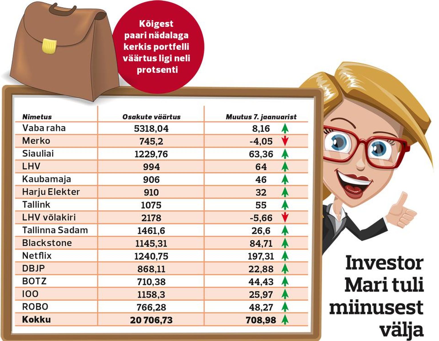 Investor Mari, jaanuar 2019