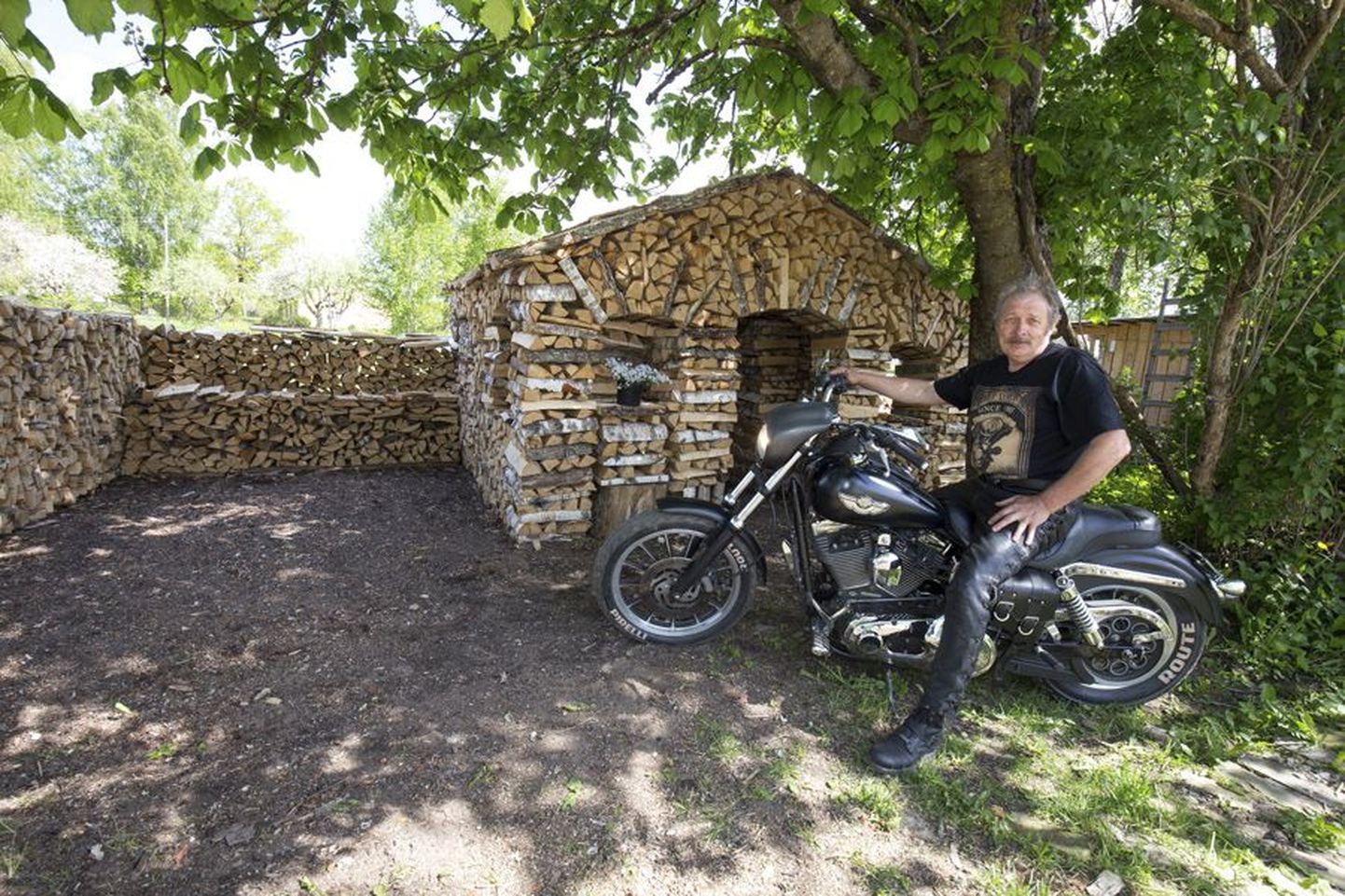 Agu Helimets on suur mootorrataste austaja. Nii tutvustas ta ka oma talvel kogutud küttepuudest ehitatud halumaja Harley-Davidsoni seljas istudes.