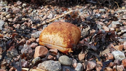  ���� ����� ������� ������ ������� ����� ������������ ��������� 