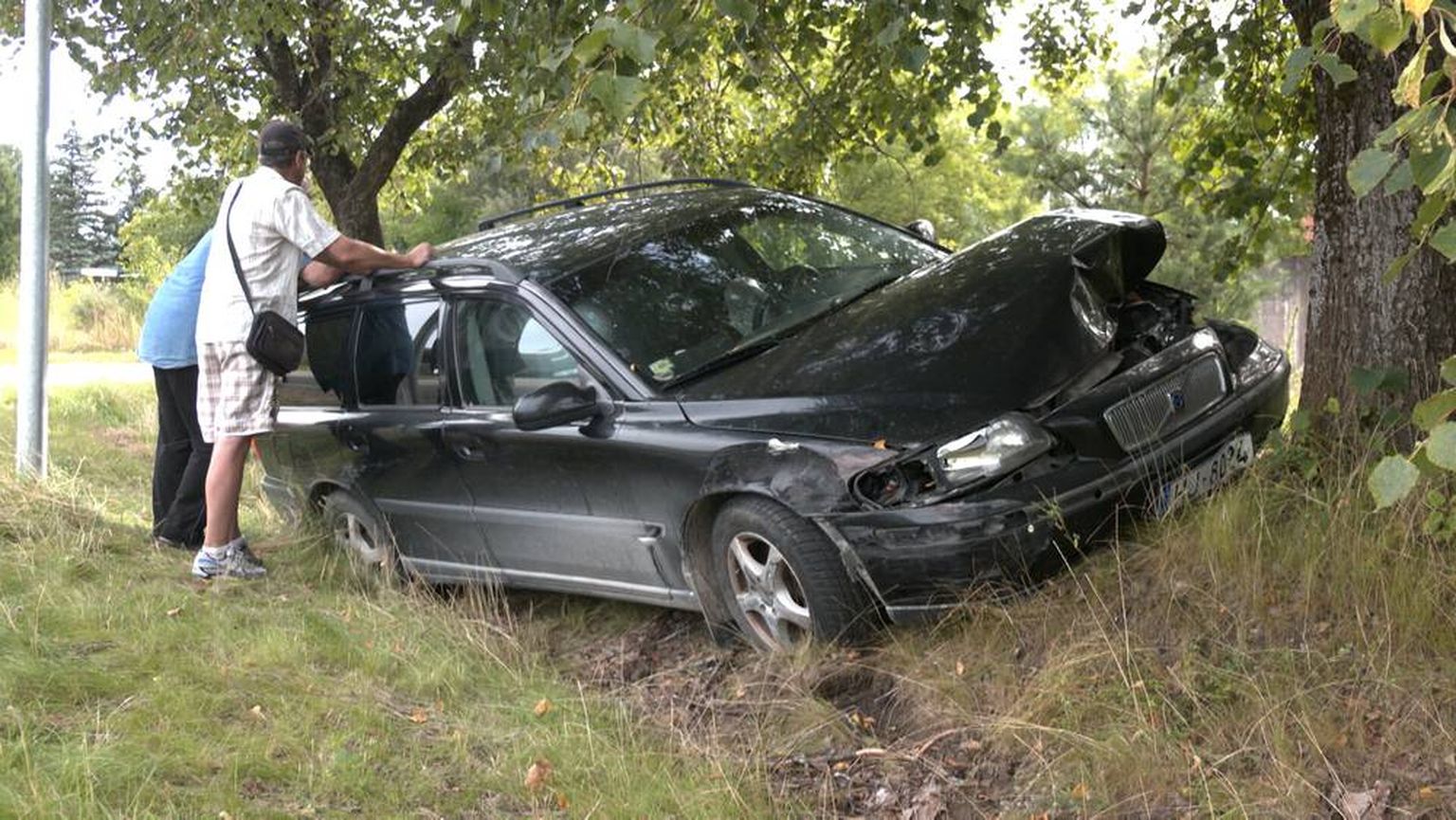 Volvo automobilis ietriecies kokā