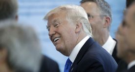 Трамп на саммите НАТО, или Слон в посудной лавке