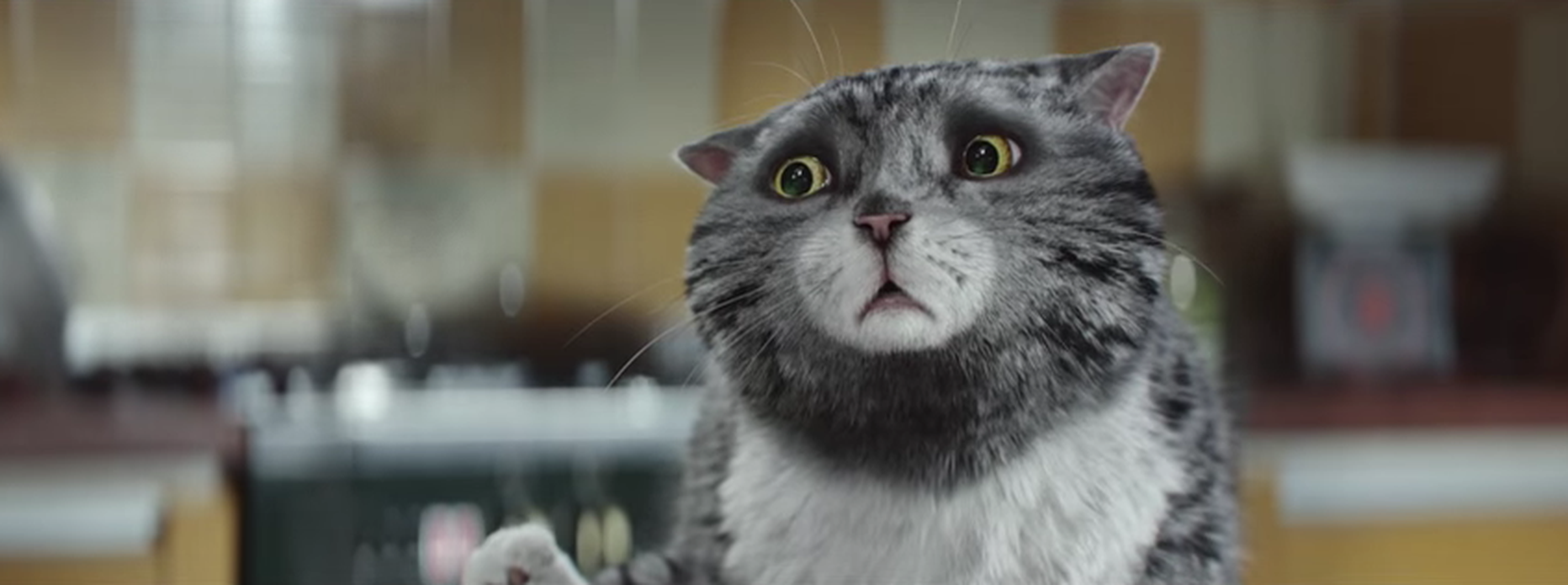 Mog