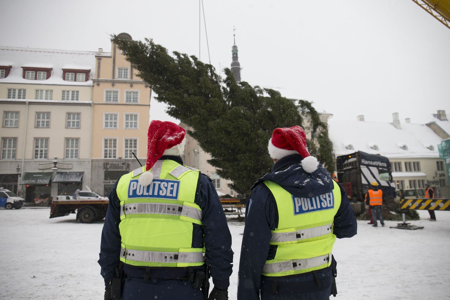 Tallinna linna jõulukuuse toomine Raplamaalt