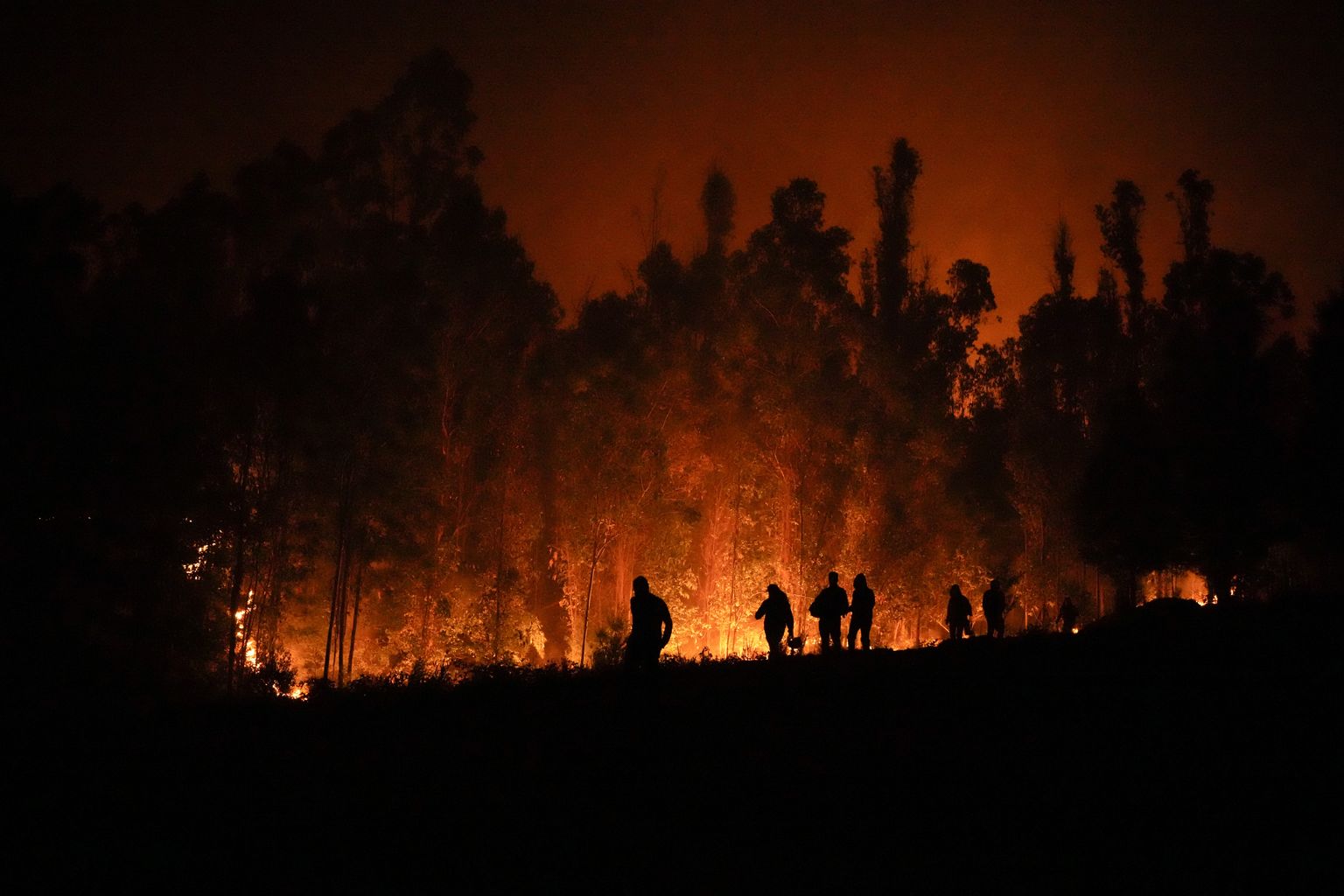 Metsapõleng Tšiilis.