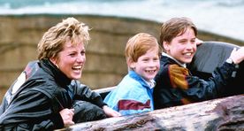 Printsid William ja Harry tunnevad, et vedasid ema Dianat alt