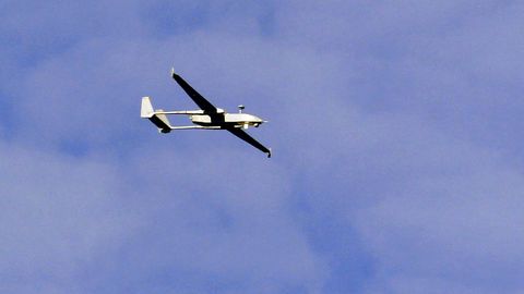 Фото: rus.postimees.ee