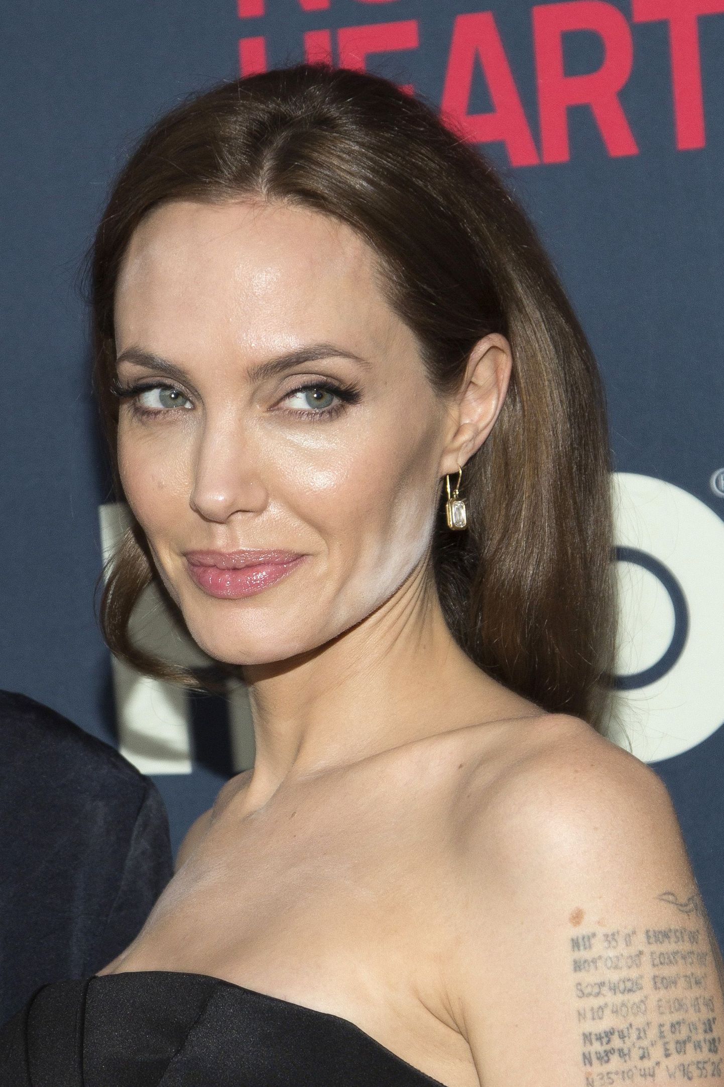 Angelina Jolie meigiäpardus.