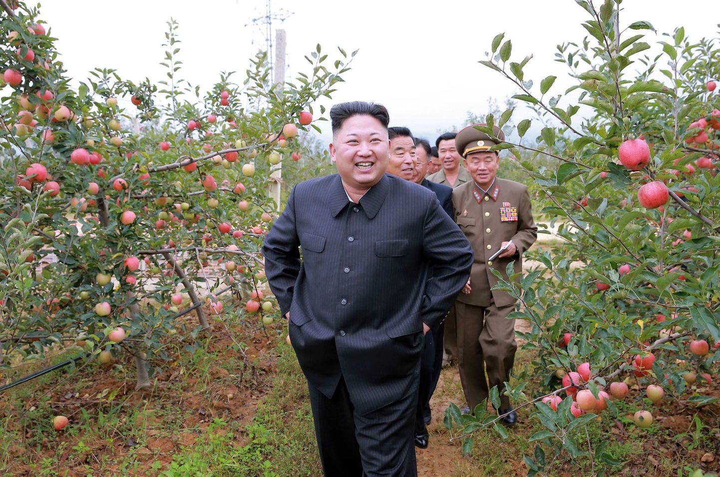 Kim Jong-Un külastab puuvijakasvandust.