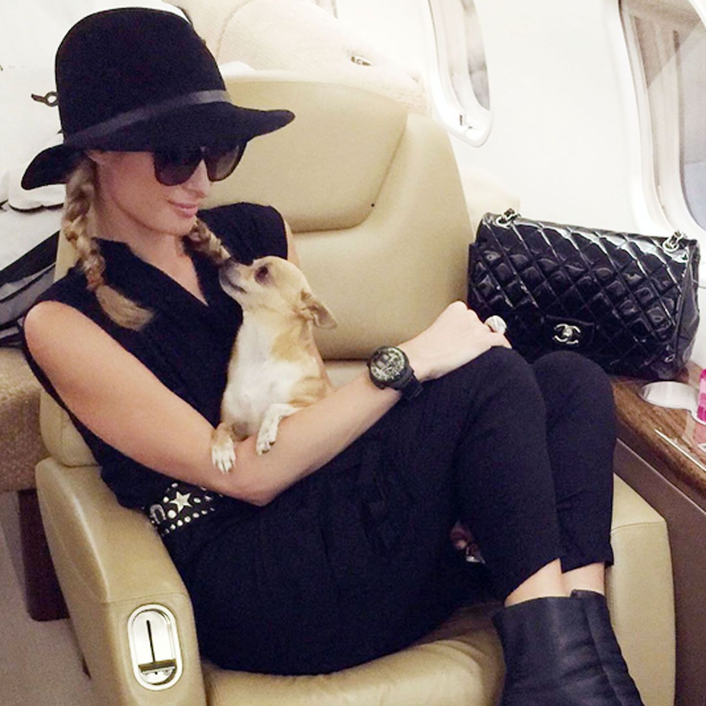 Paris Hilton oma koeraga