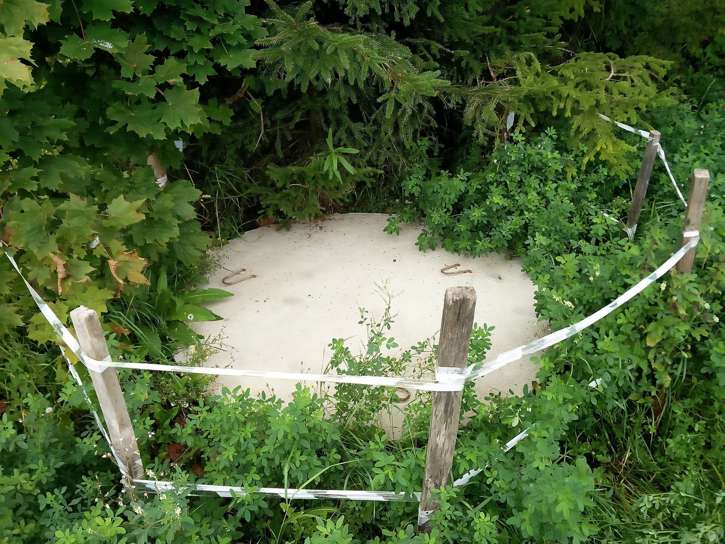 Rakvere Linnuriigis laste mänguväljaku lähedal asuv mitme meetri sügavune ohtlik kaev on kaanetatud.