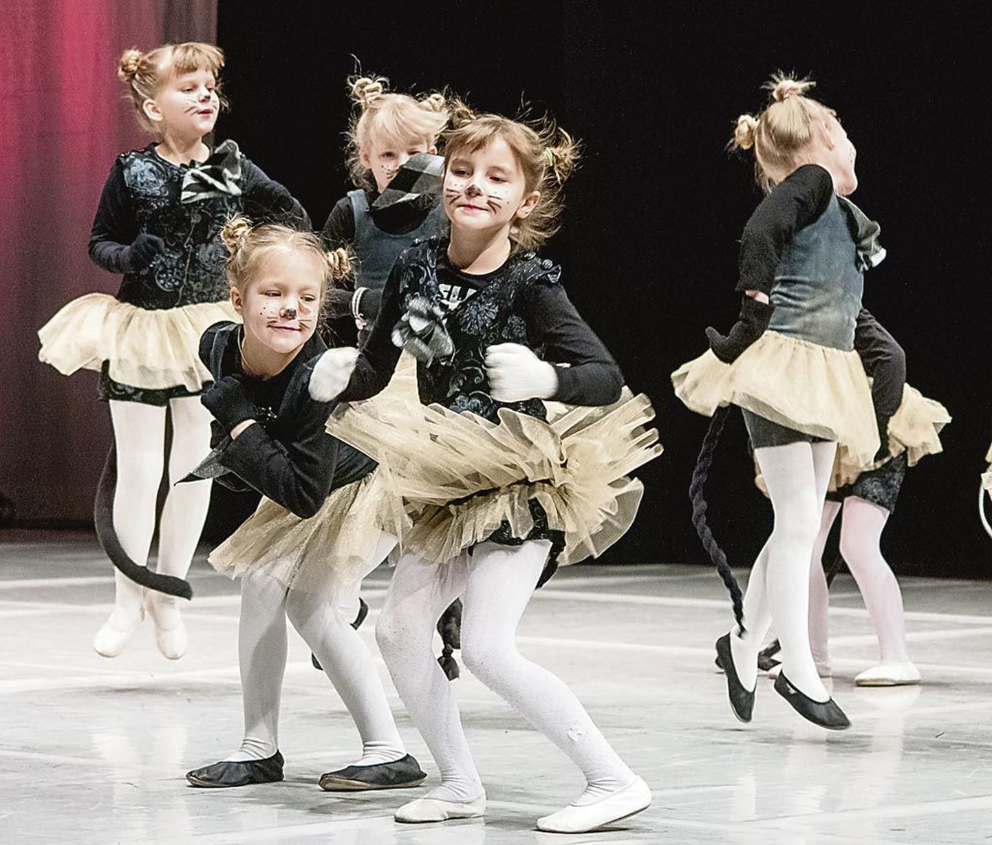 Eelmisel aastal Koolitantsu festivali ei toimunud, kuid tänavu leiab Eesti suurim tantsuüritus taas aset. Pärnus võtavad sellest teiste seas osa ka Laine Mägi tantsukooli kasvandikud. Pildil selle tantsukooli üks paljudest tunamullustest numbritest.