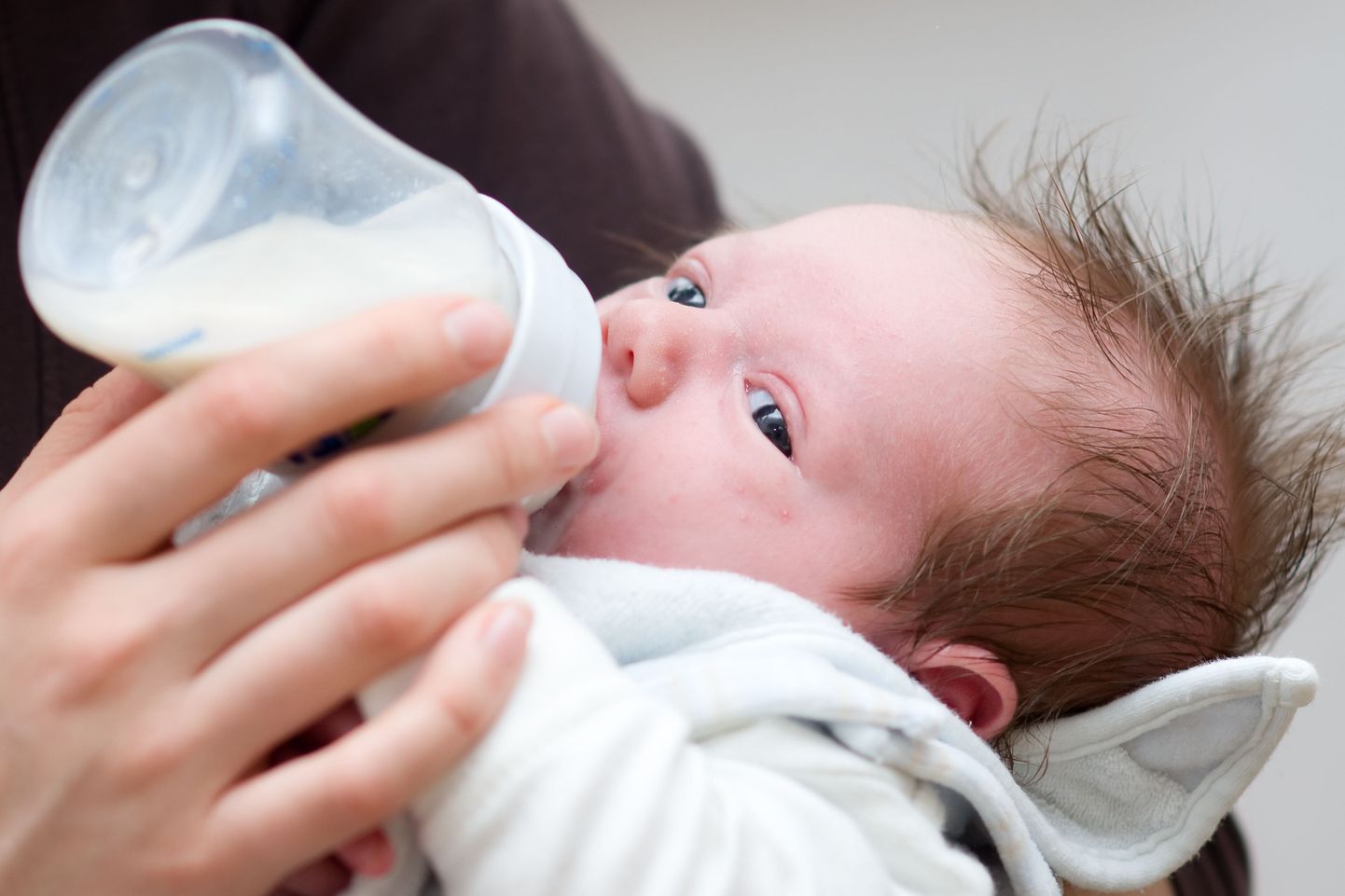 Vaid rinnapiima saavate laste soolestikes elavad bakterid on sarnased.