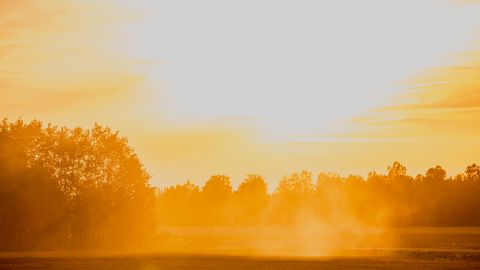 ����: rus.postimees.ee