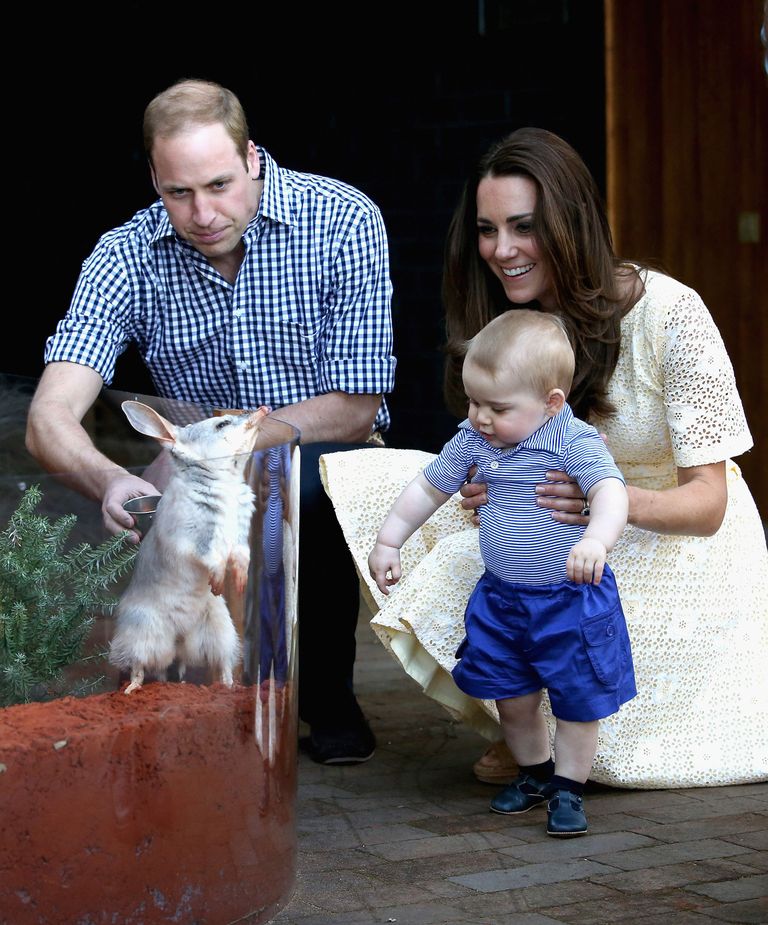 Prints William, hertsoginna Catherine ja nende poeg, prints George Austraalias Sydney loomaaias