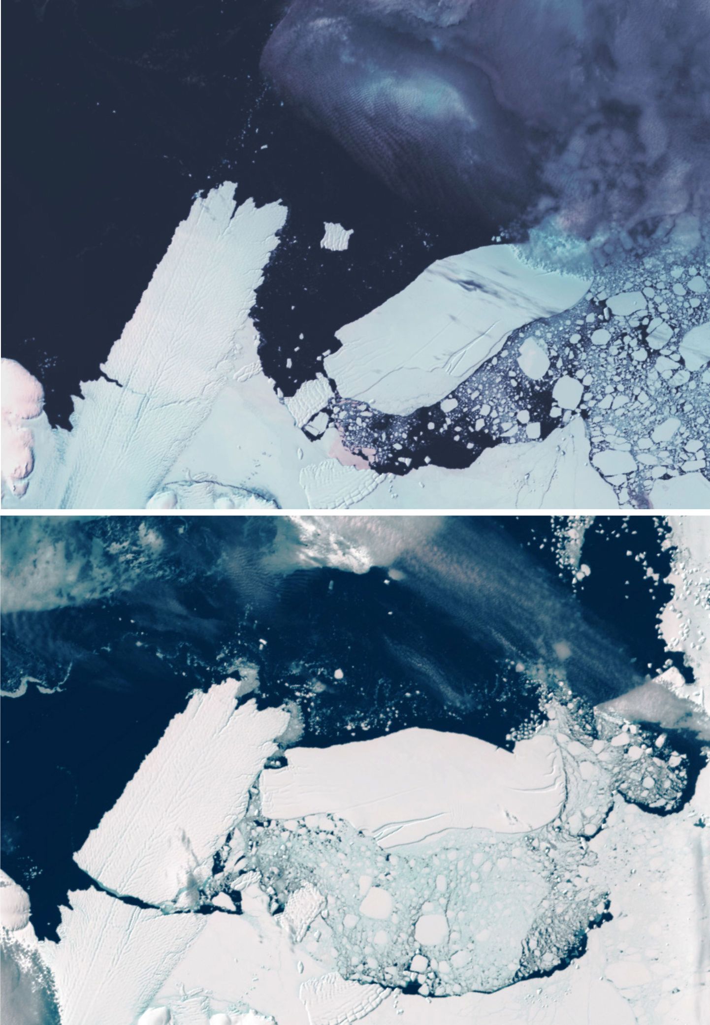 Satelliidi vahendusel tehtud fotod jäämäe eemaldumisest. Ülemine on tehtud 7. jaanuaril ja alumine 20. veebruaril.