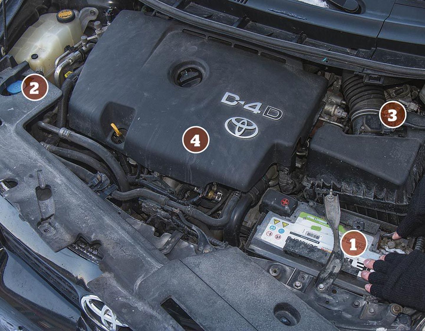 Vägevad külmakraadid on tühjaks imenud nii mõnegi auto aku (1). Pakasega võib aga kapoti all muret valmistada ka mõni teine koht. Paljudel autodel on aknapesuvedeliku paakides (2) ära külmunud liiga väikse külmumistemperatuuriga pesuaine ning mõnel kütusefilter (3). Diiselmootoriga autodel võivad käivitumist takistada väsinud eelsüüteküünlad (4).