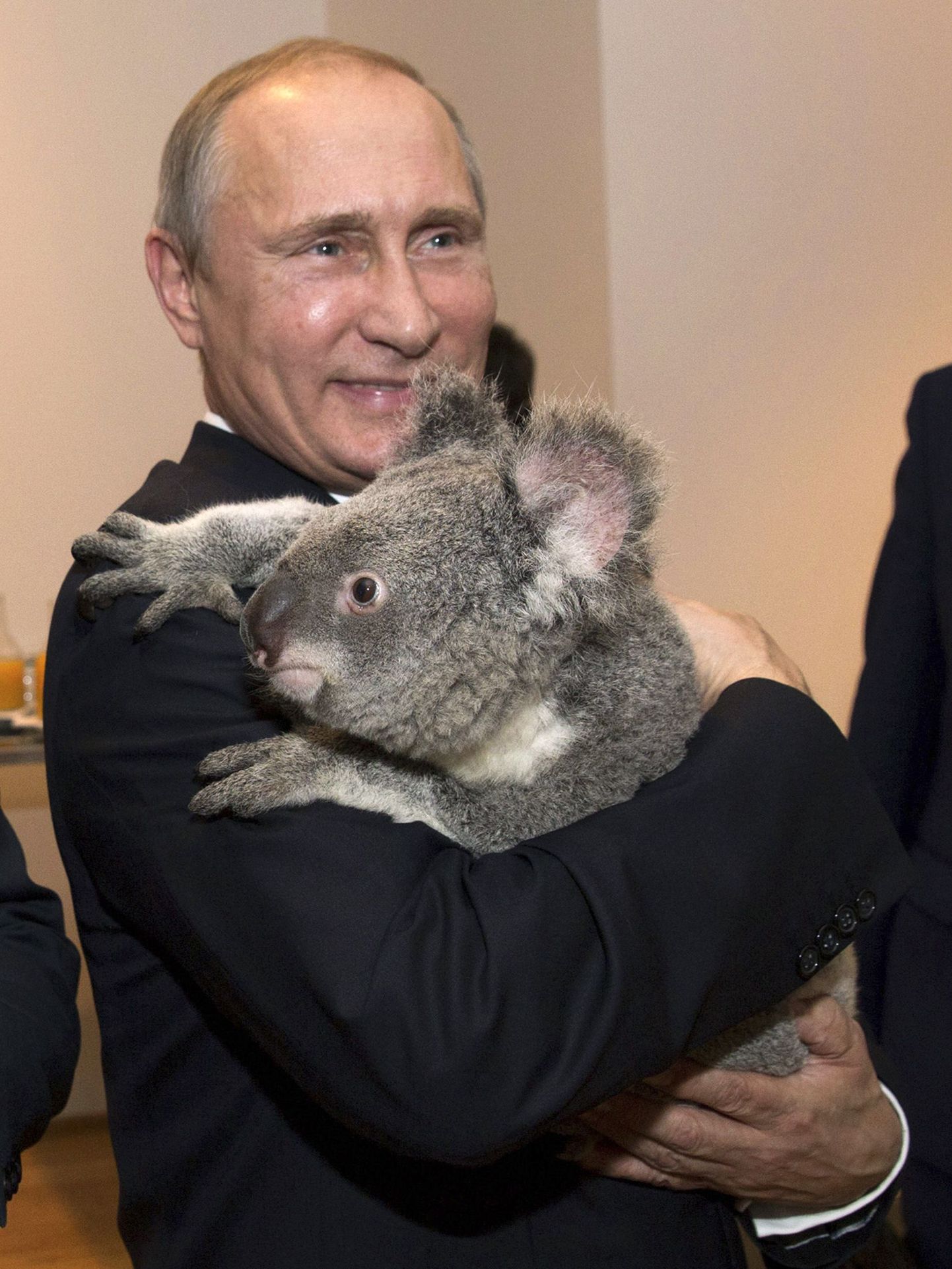 Путин и коала.