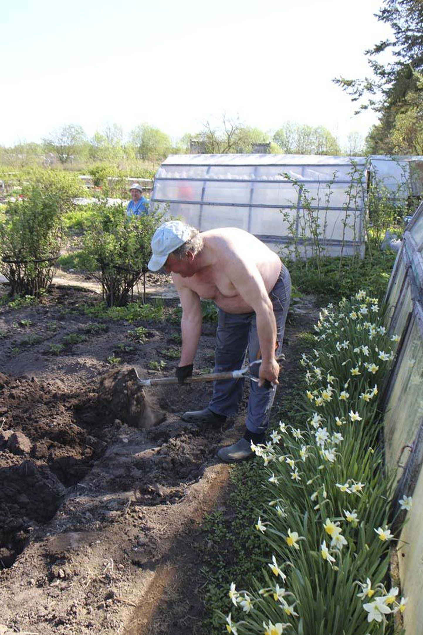 Viktor Ivanson tegi pühapäeva hommikul viimaseid kaevamistöid.