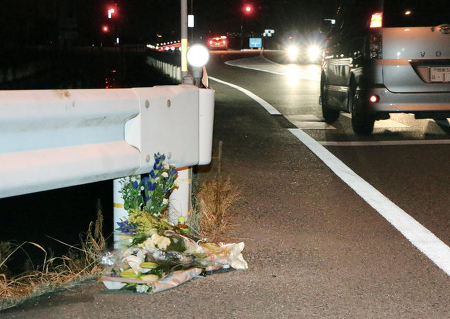 «Pokemon Go'd» mänginud veoauto juht tappis Jaapanis jalakäija