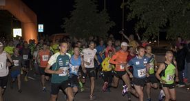 Esimesel Elva südaööjooksul lõi kaasa pea kolmsada osalejat