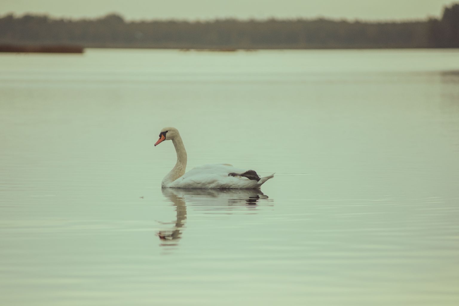 Agrs rudens Ķemeru nacionālajā parkā