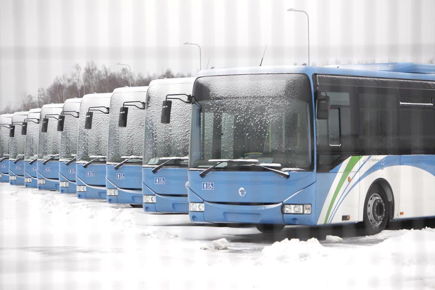 Автобусы, купленные за счет продажи экологических квот