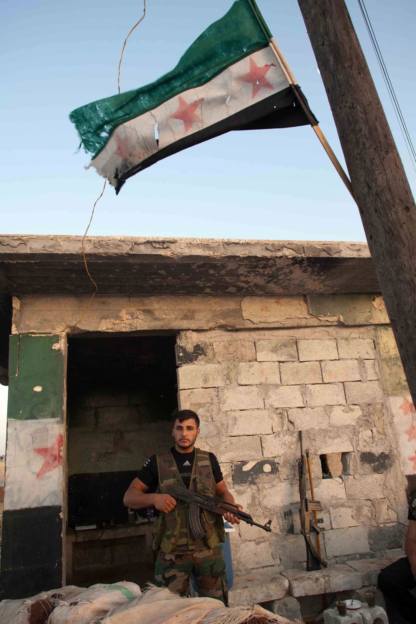 Süüria opositsiooni kasutatud lipp
