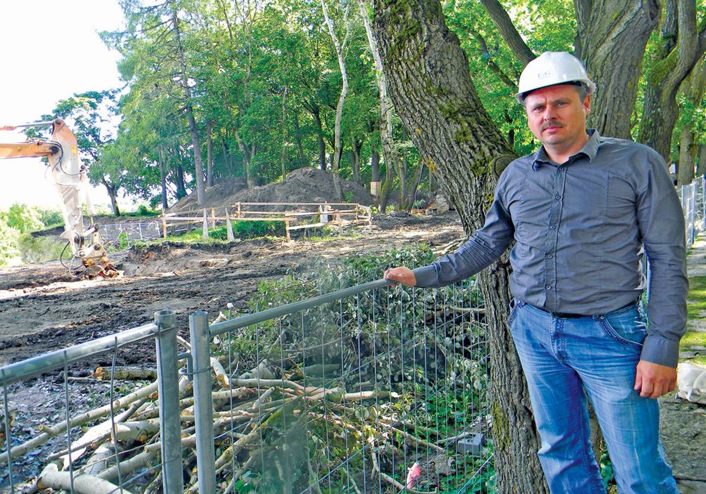 Руководитель проекта реконструкции Юрий Пароварт говорит, что основной причиной разрушений бастиона были деревья Темного сада, в котором сейчас идут работы по прокладке более глубокой, до семи метров, дренажной системы бастиона.