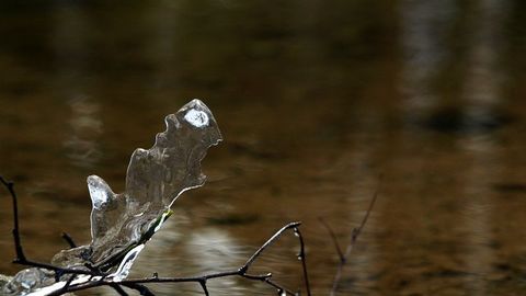 ����: rus.postimees.ee