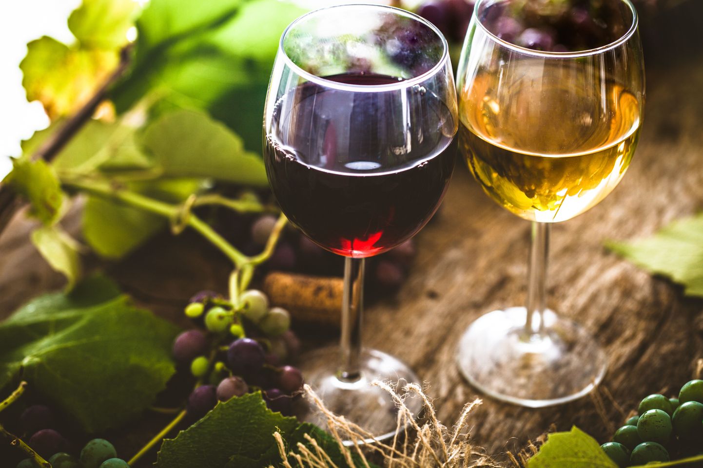Vein ja viinamarjad.
