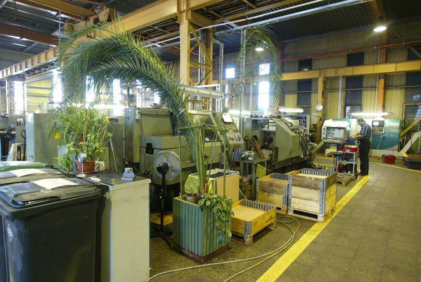 Tartu metallitööstusettevõttes Metec on töötajate silmarõõmuks ka palmid, mis on, tõsi küll, igihaljad.