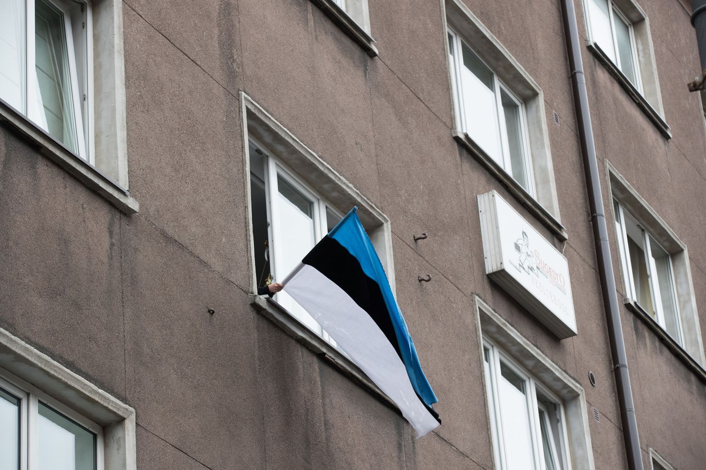 Eesti lipp. Foto on illustratiivne.