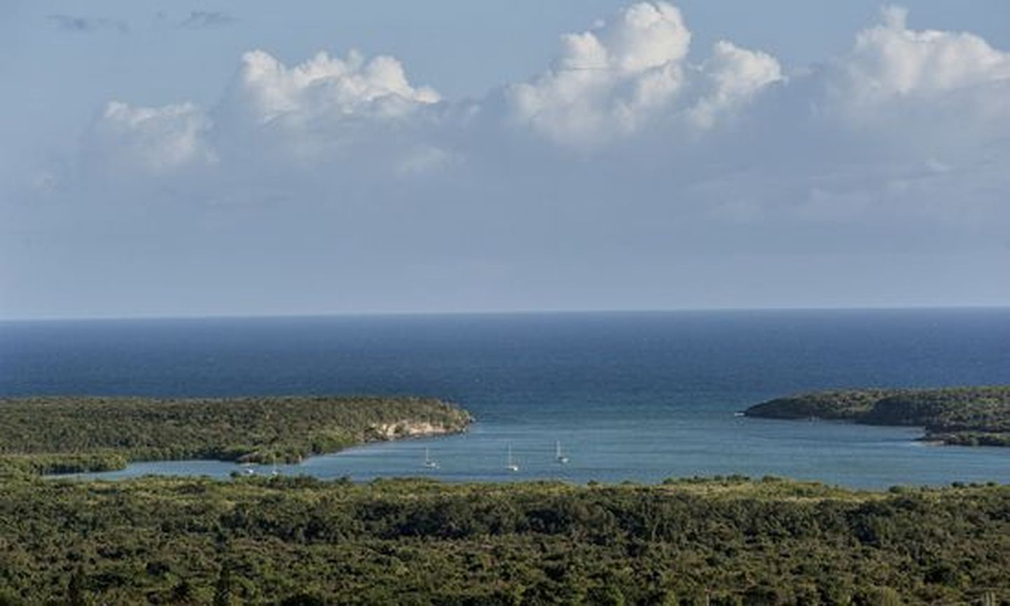 Mosquito Bay ehk Moskiito laht - helendav laht Puerto Ricos.