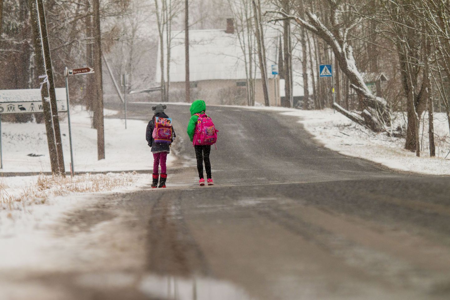 Lapsed liikumas lörtsisajus Lüllemäe kooli poole. Foto on illustratiivne.