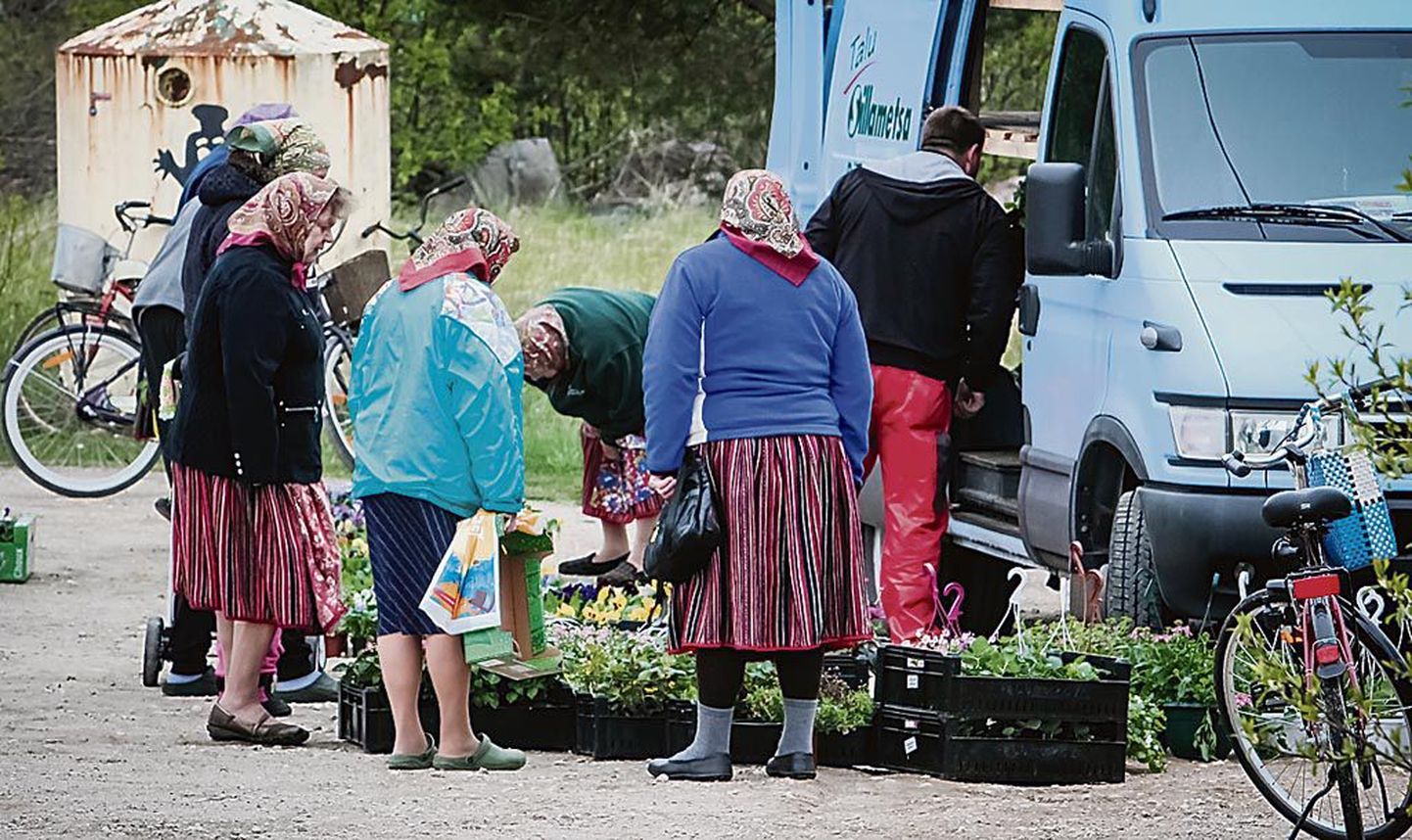 Sillametsa aiandustalu lillevalikut uudistavad naised hoolega ja lähevad koju, kastitäied taimi kaasas.