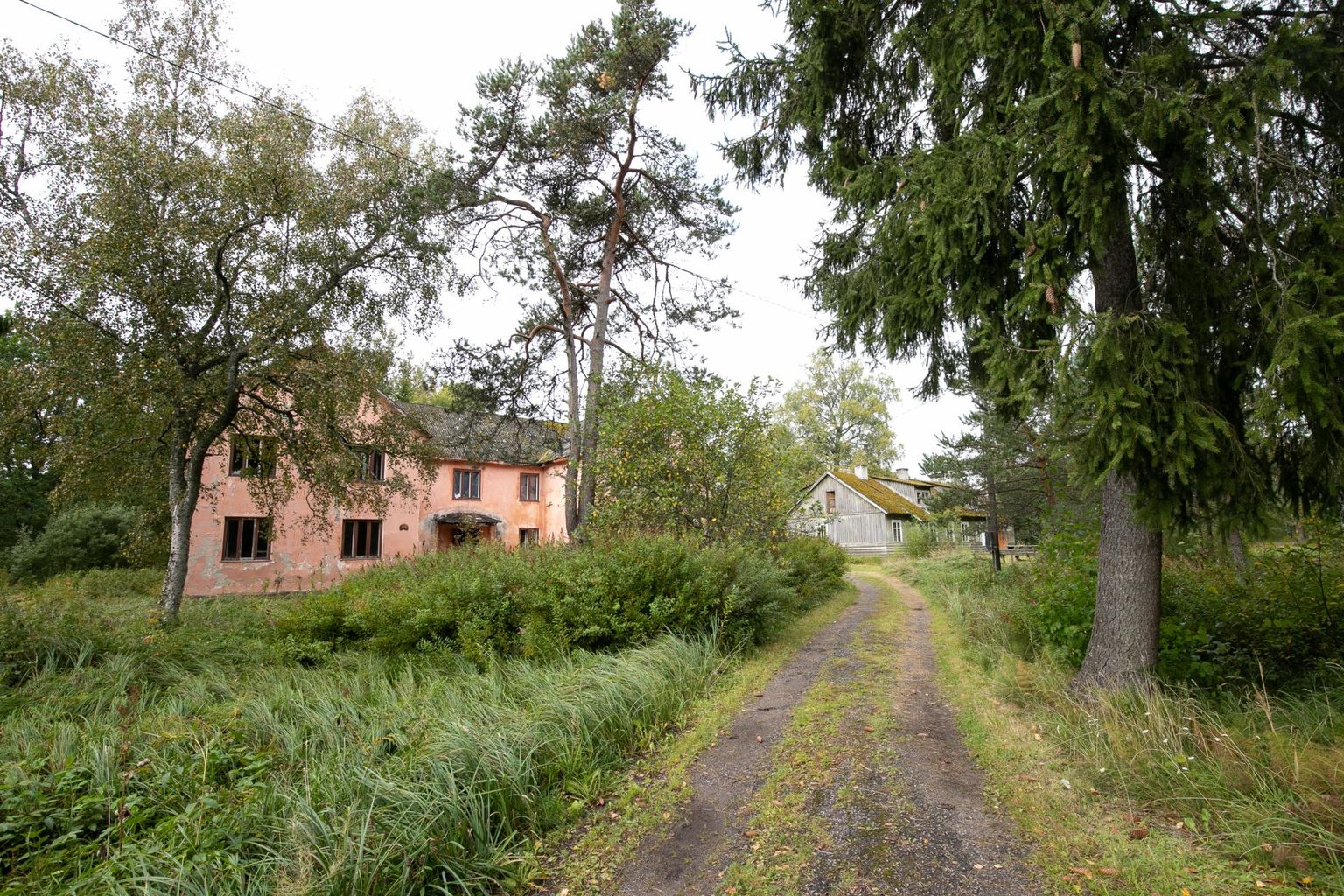Rabasaare küla on praktiliselt inimtühi ja maha jäetud.