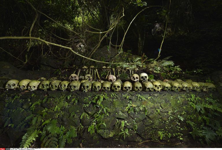 Bali saarel asuv surnuaed on tõenäoliselt üks maailma erilisemaid. Foto: BEHAR ANTHONY/Scanpix