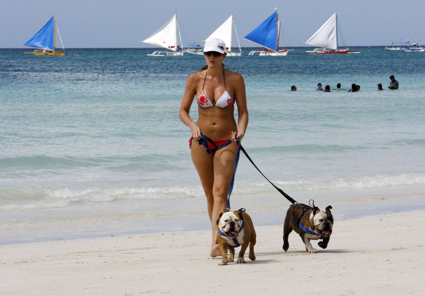 Туристка и ее домашние любимцы отдыхают на пляже. Снимок иллюстративный.