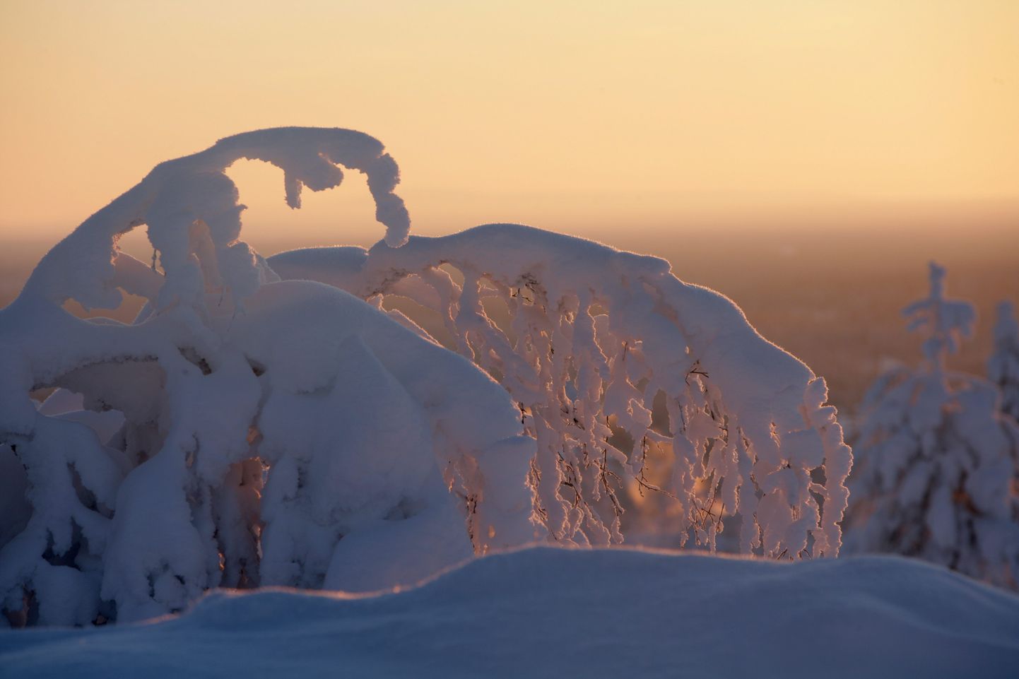 Lumine loodus Saariselkä piirkonnas.