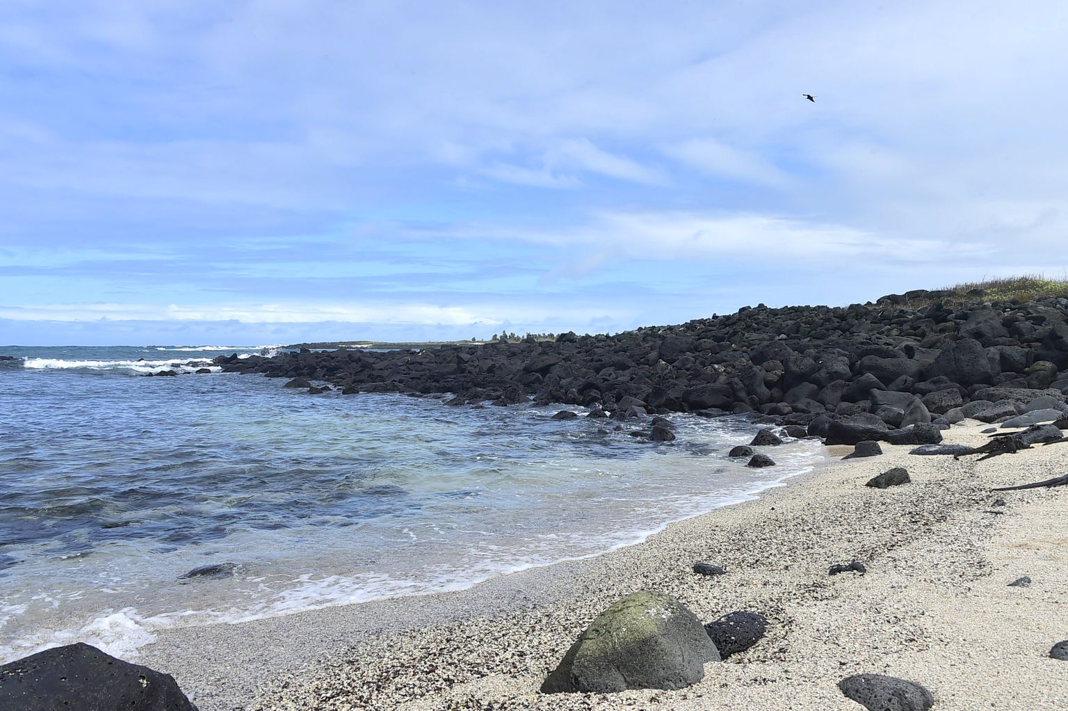 Galapagose saar Santa Cruz.