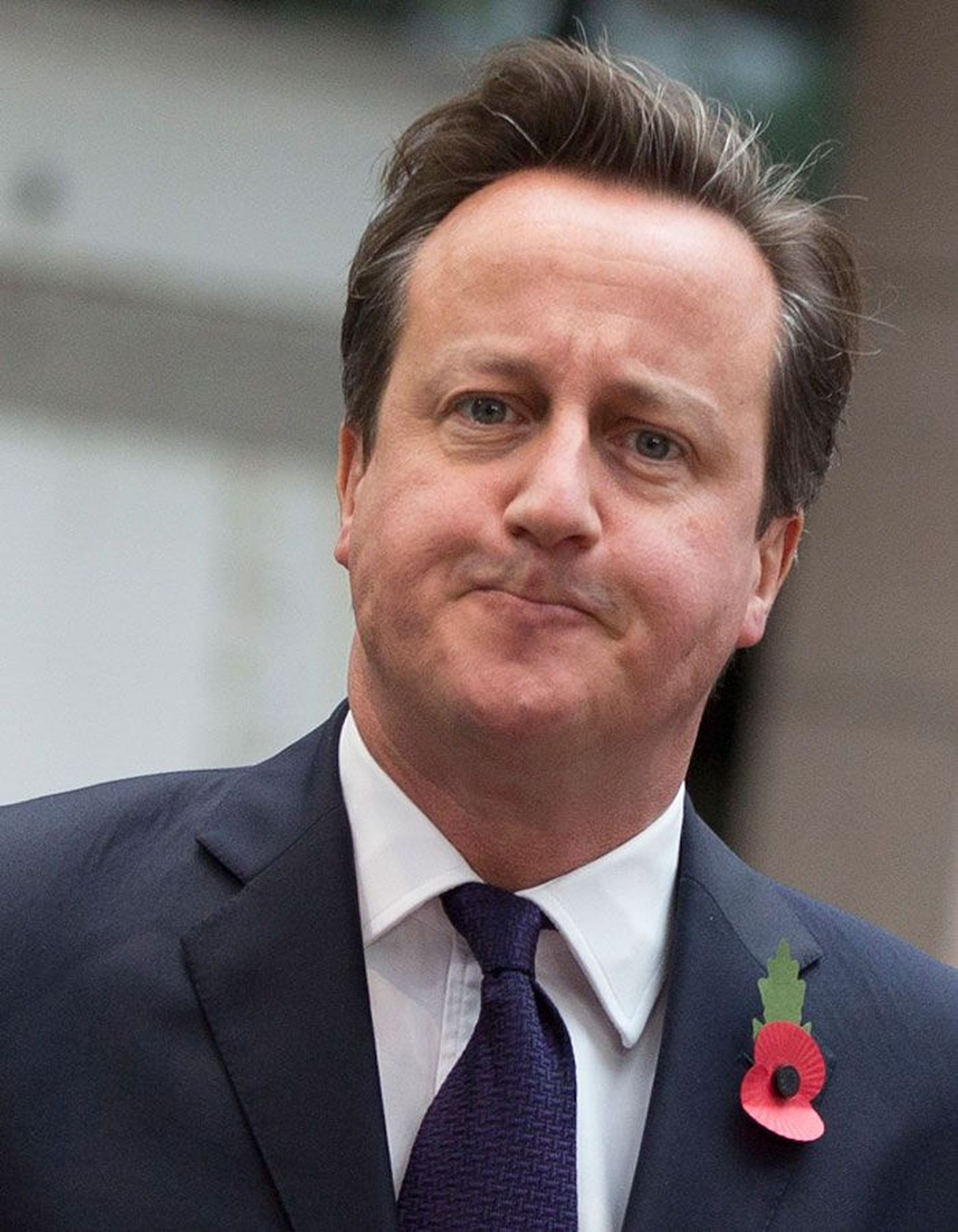 Своей жесткой позицией по вопросу иммиграции Дэвид Кэмерон намерен привлечь голоса избирателей.