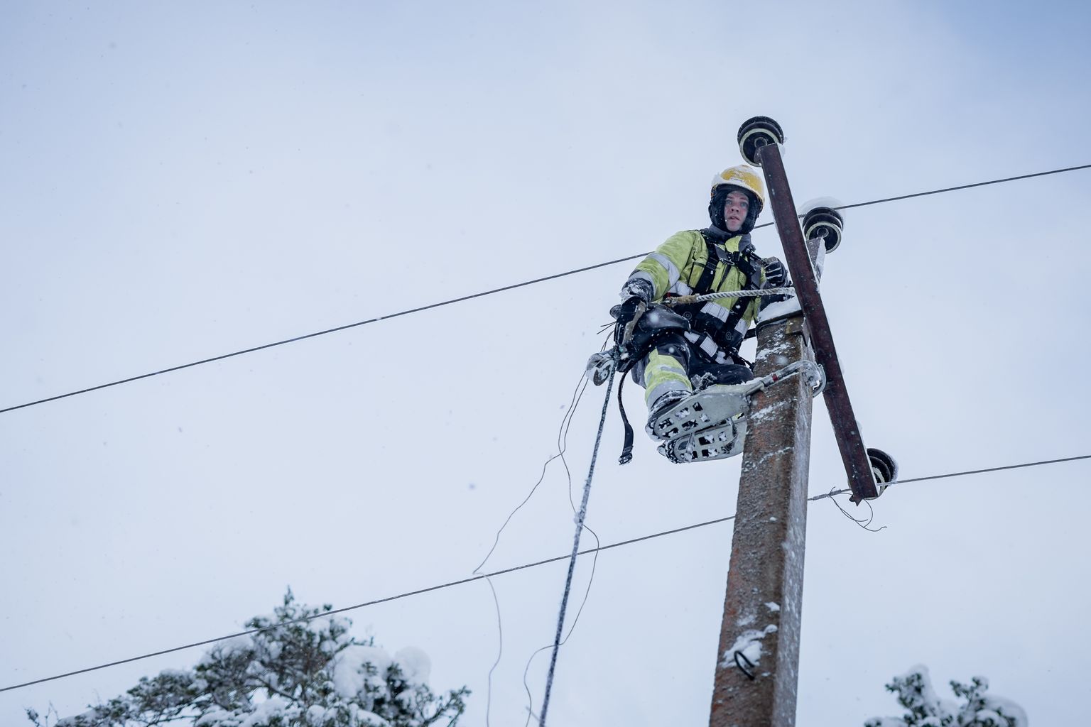 Saaremaa Vallavalitsus soovib, et riik suunaks täiendavaid investeeringuid Saaremaa elektrivõrgu ilmastikukindlamaks muutmisele. Foto on illustreeriv.