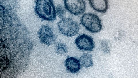 ����: rus.postimees.ee