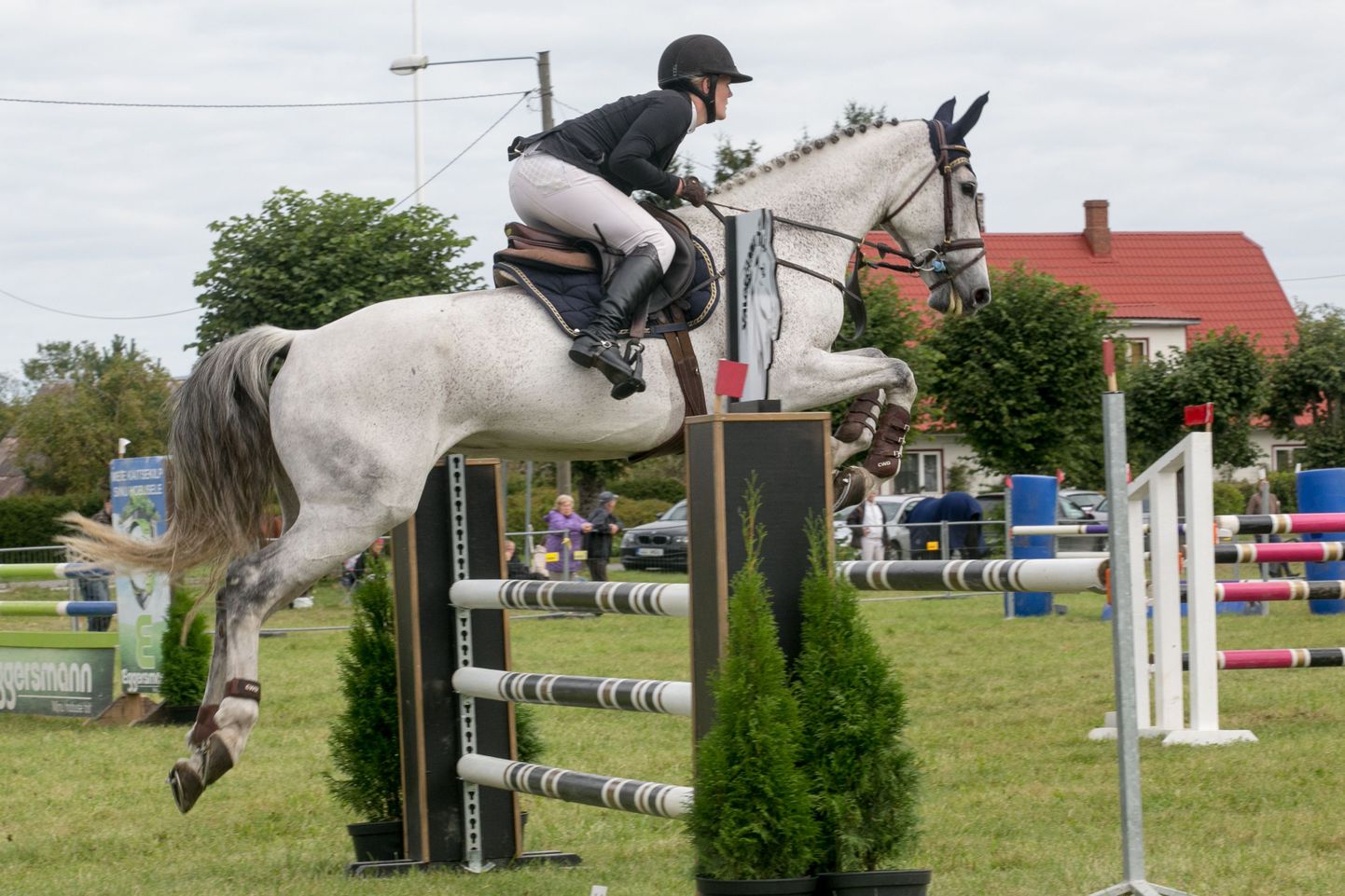 Sel nädalavahetusel võistlevad Toris Eesti parimad ratsutajad oma ilusatel hobustel.