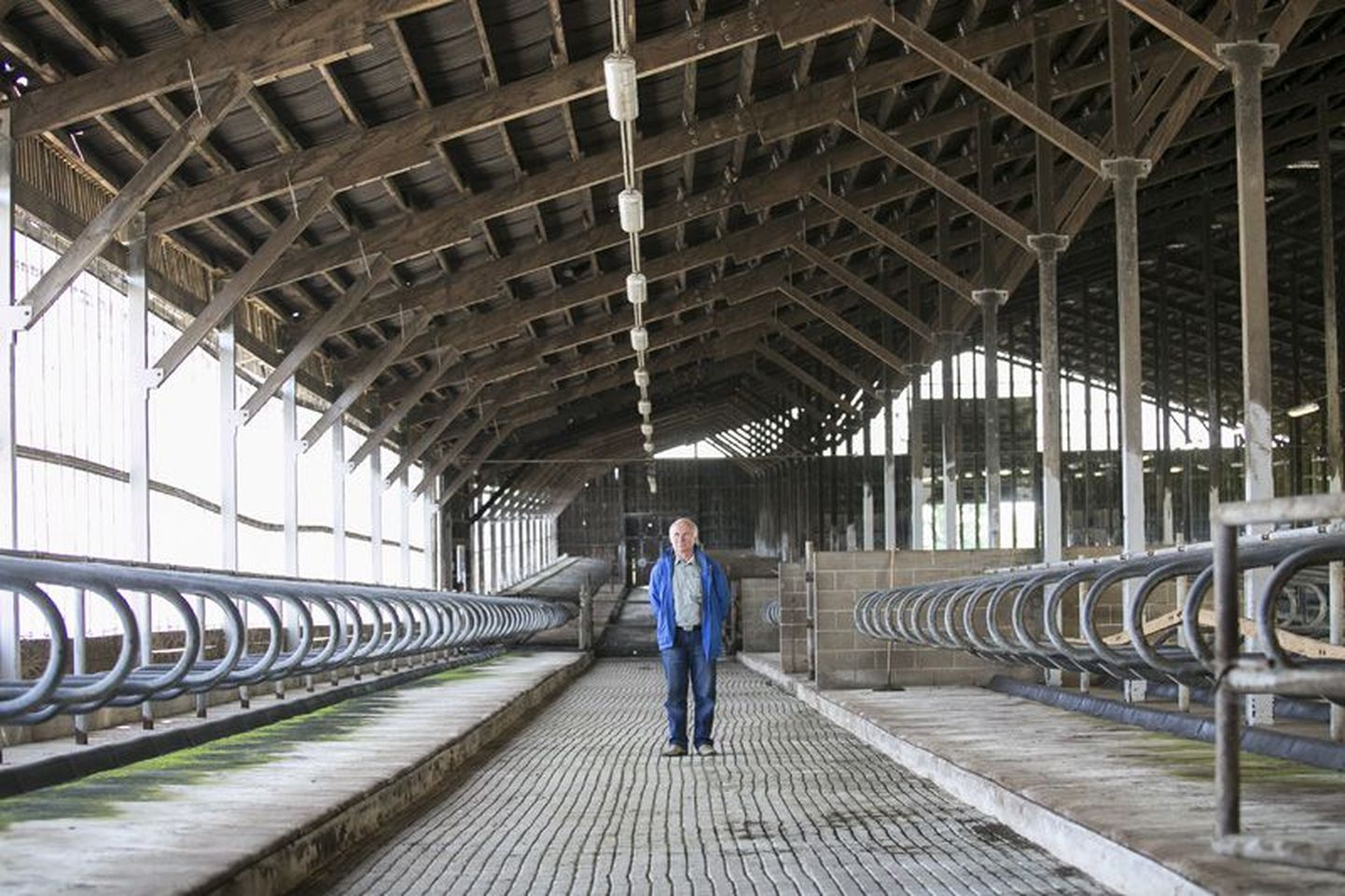 Müüriku piimafarmi peremees Endel Mäesepp tunnistas, et otsus farm sulgeda tuli väga raskelt.