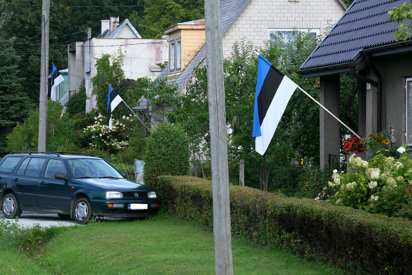 Eesti lipud tänavu 20. augustil.