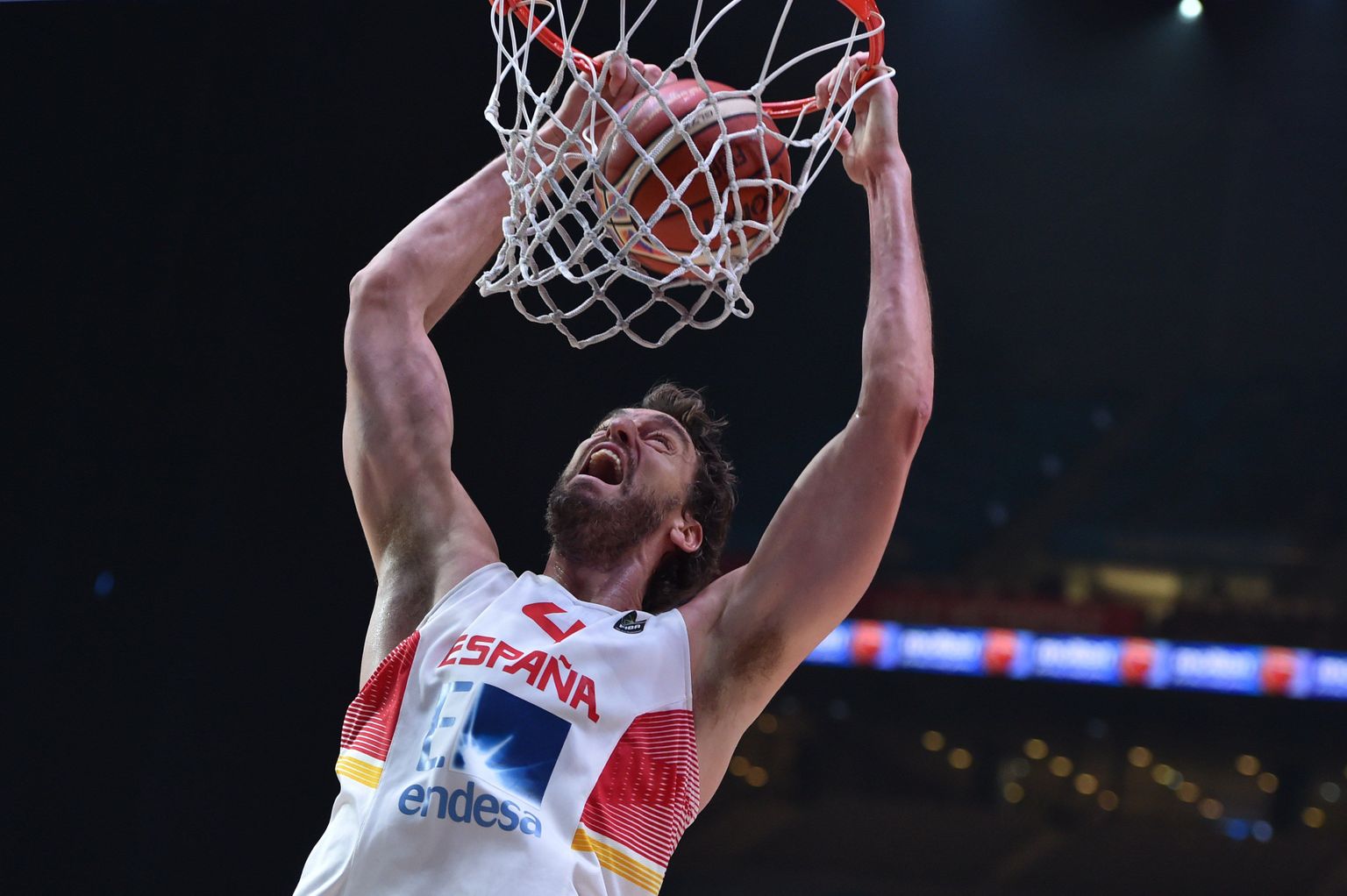 Pau Gasol
