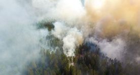 Forest fire near Estonian-Latvian border spreads to 45 hectares